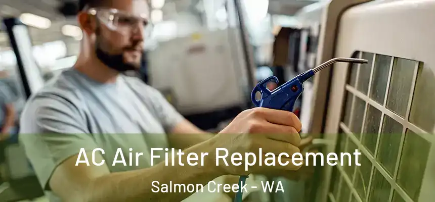  AC Air Filter Replacement Salmon Creek - WA