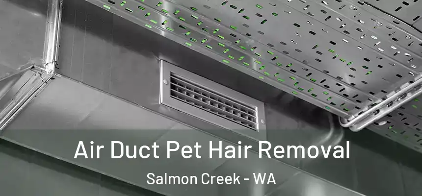 Air Duct Pet Hair Removal Salmon Creek - WA