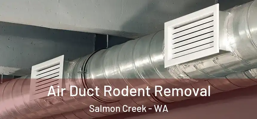 Air Duct Rodent Removal Salmon Creek - WA