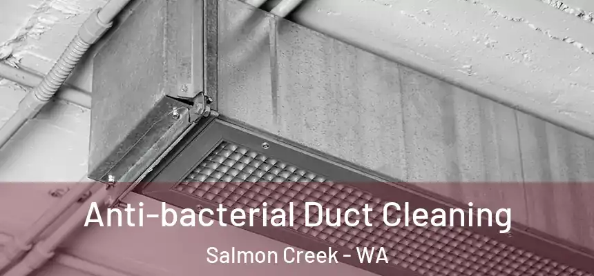  Anti-bacterial Duct Cleaning Salmon Creek - WA