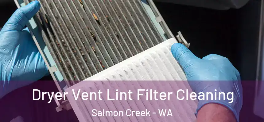  Dryer Vent Lint Filter Cleaning Salmon Creek - WA
