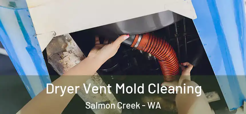 Dryer Vent Mold Cleaning Salmon Creek - WA