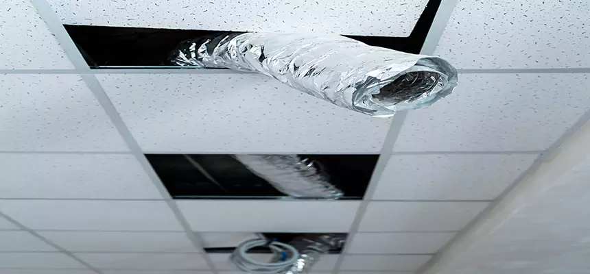 Affordable HVAC Sanitizing After Pest Removal in Salmon Creek