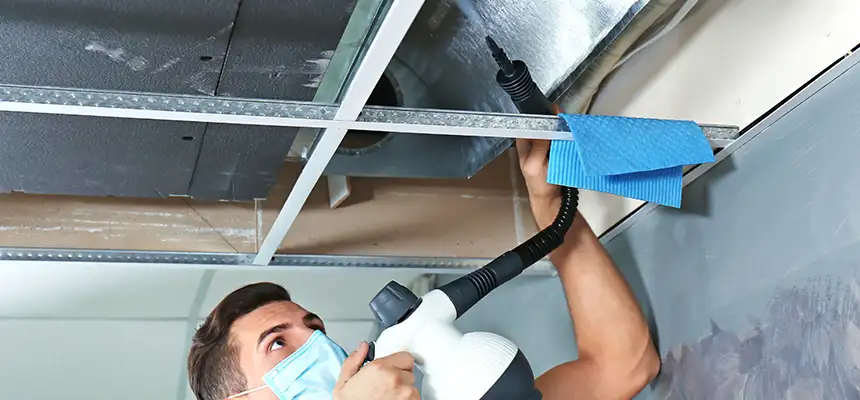 Our Air Duct Rodent Removal Services in Salmon Creek, WA