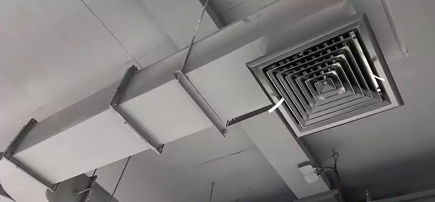 Restorative Allergy Relief Vent Cleaning – Coil, Blower & Housing Detail in Salmon Creek