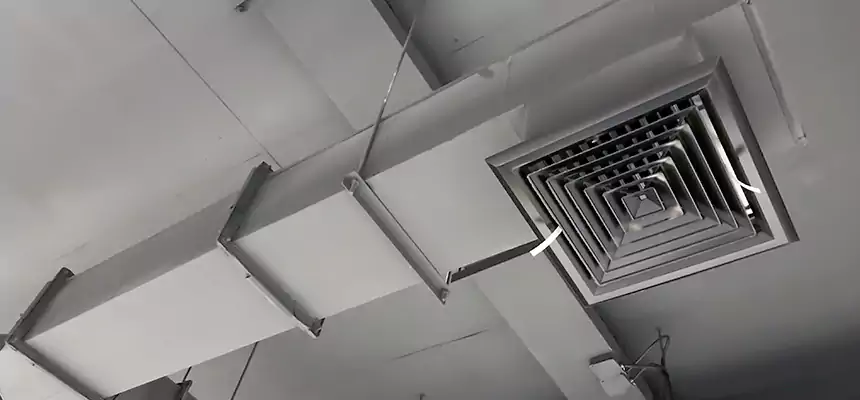 Our Rodent Droppings In Vents Services in Salmon Creek, WA