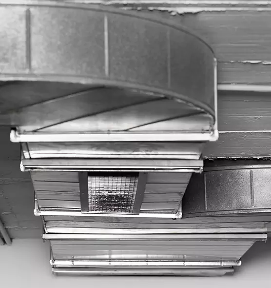 Professional Air Duct Pet Hair Removal in Salmon Creek, WA