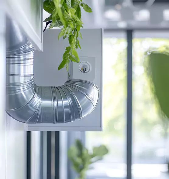 Professional Eco-Safe Dryer Vent Cleaning in Salmon Creek, WA