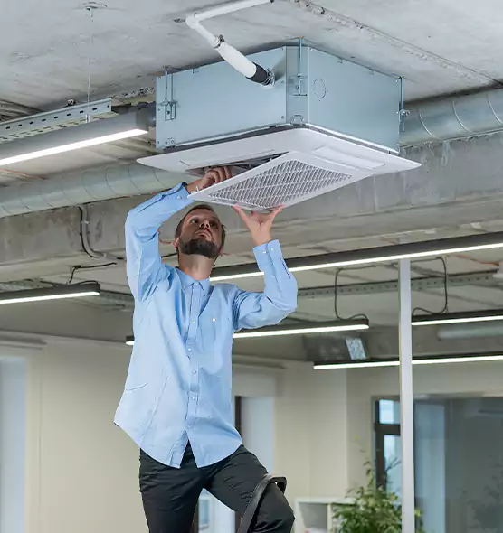 Advanced Rodent Droppings In Vents in Salmon Creek, WA