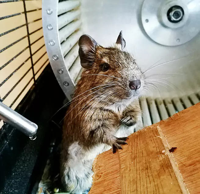 Why Homeowners & Businesses Trust Us Salmon Creek, WA?