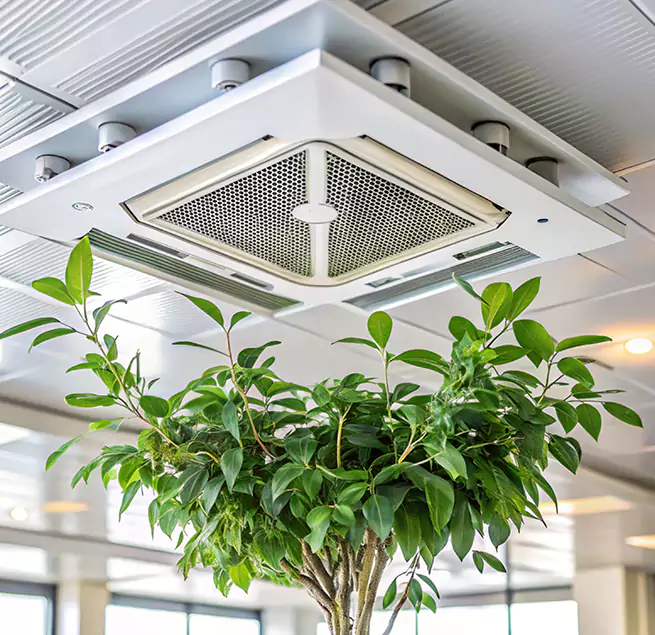 Why Homeowners & Businesses Trust Us in Salmon Creek, WA?