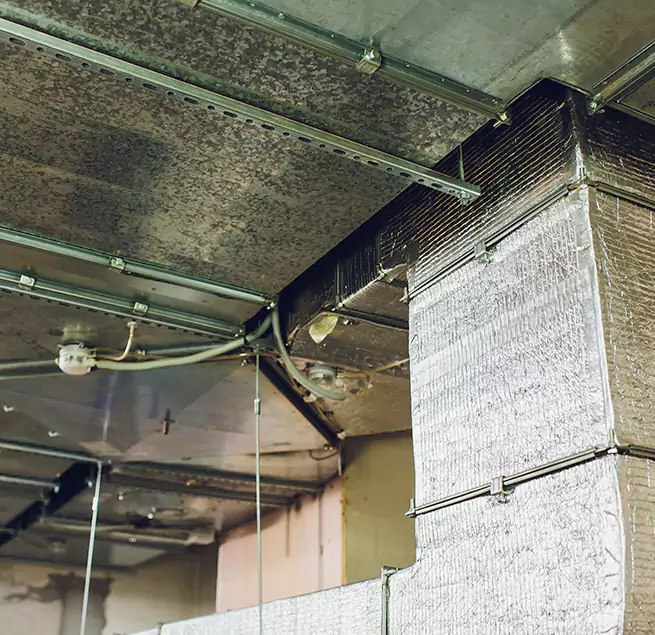 Why Homeowners & Businesses Trust Us in Salmon Creek, WA?