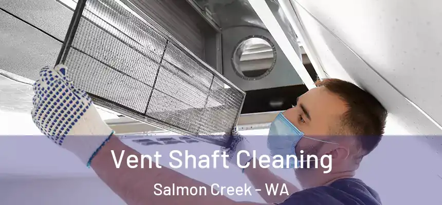  Vent Shaft Cleaning Salmon Creek - WA